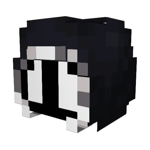 Void_fox_ Minecraft avatar head, 3D render