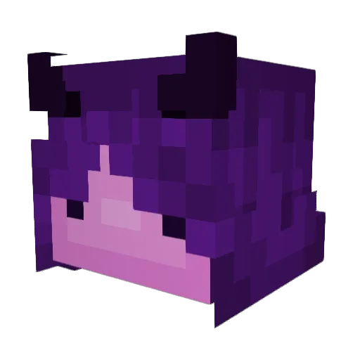 Void_is_me Minecraft avatar head, 3D render