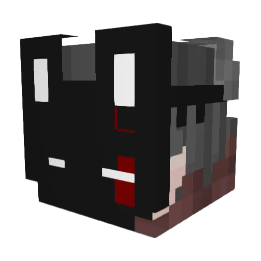 Void_ssd Minecraft avatar head, 3D render