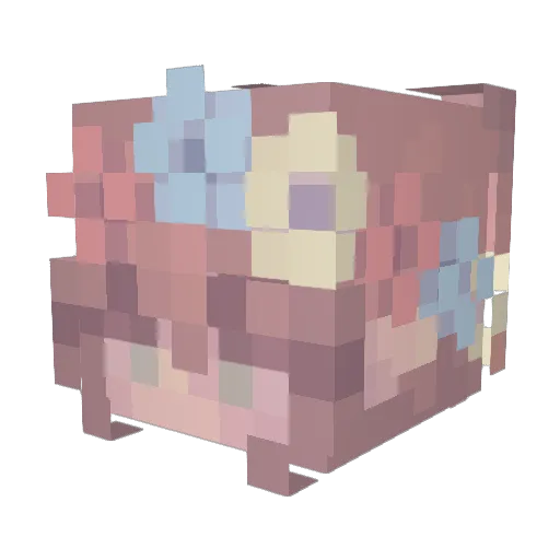 Voidablemars699 Minecraft avatar head, 3D render