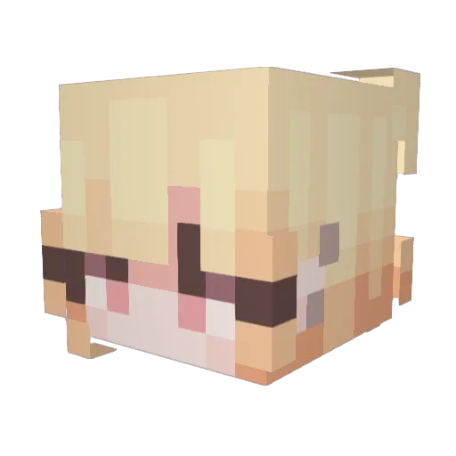 VoidalAbyss Minecraft avatar head, 3D render