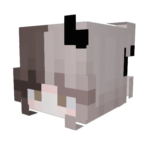 Voidane Minecraft avatar head, 3D render