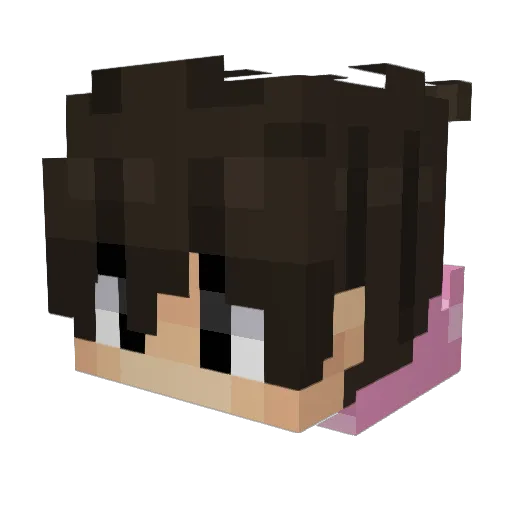 Voided3345 Minecraft avatar head, 3D render