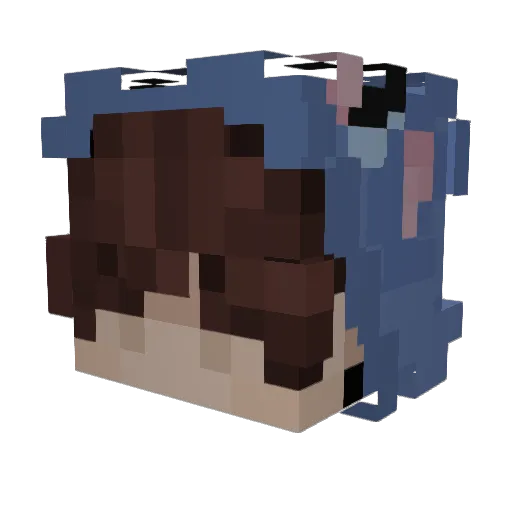 VoidedBazy Minecraft avatar head, 3D render