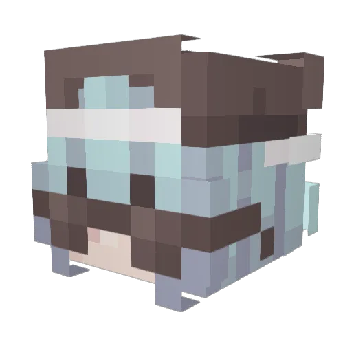 Voided_Can Minecraft avatar head, 3D render
