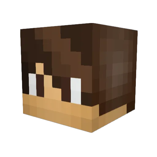 VoidexMC Minecraft avatar head, 3D render