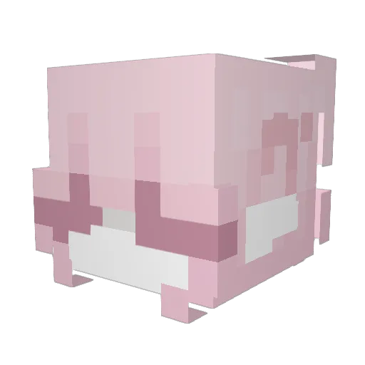 Voideyy Minecraft avatar head, 3D render