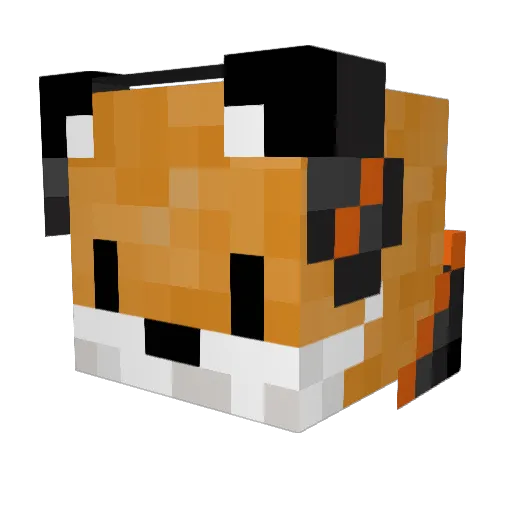 Voidfeather Minecraft avatar head, 3D render
