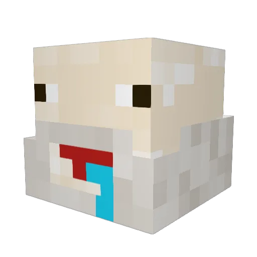 Voidgamer5312 Minecraft avatar head, 3D render