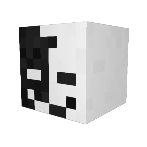 Voidilz Minecraft avatar head, 3D render