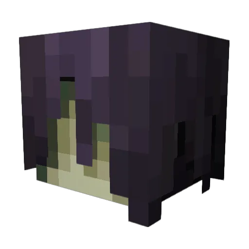 Voiditisox Minecraft avatar head, 3D render