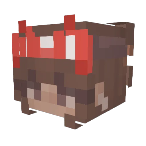 Voidless27 Minecraft avatar head, 3D render
