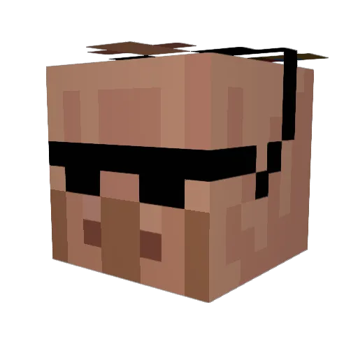 Voidmonk Minecraft avatar head, 3D render