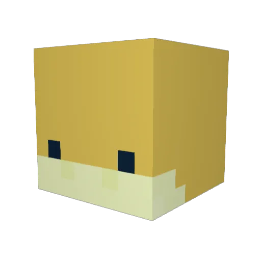 Voidnvy Minecraft avatar head, 3D render