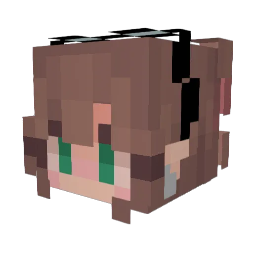 VoidofKarma Minecraft avatar head, 3D render