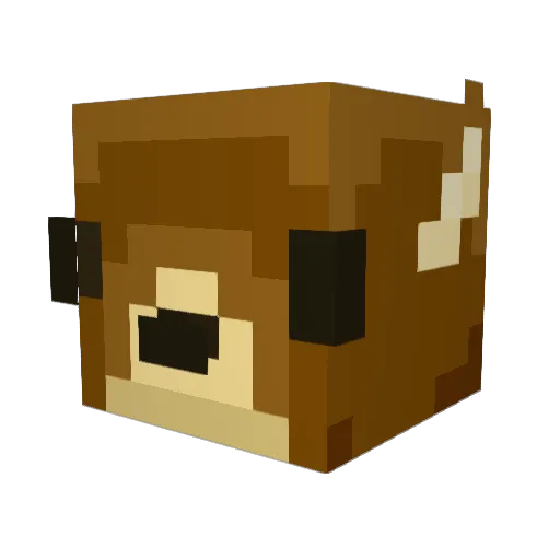 Voidrix_YT Minecraft avatar head, 3D render