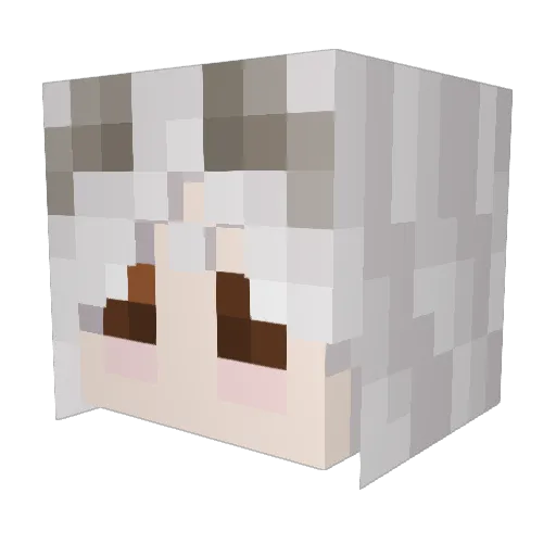 VoidsEdge Minecraft avatar head, 3D render