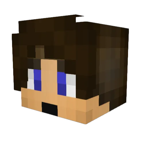 VoidsWalker Minecraft avatar head, 3D render