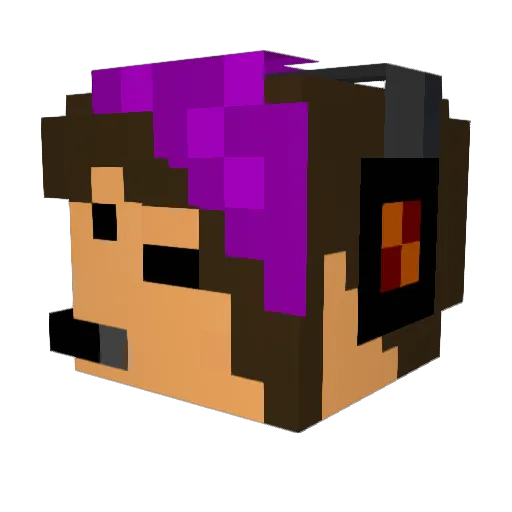 Voids_Star Minecraft avatar head, 3D render