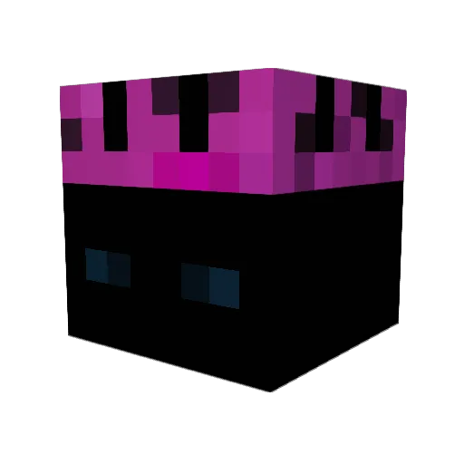 Voidwalker491 Minecraft avatar head, 3D render