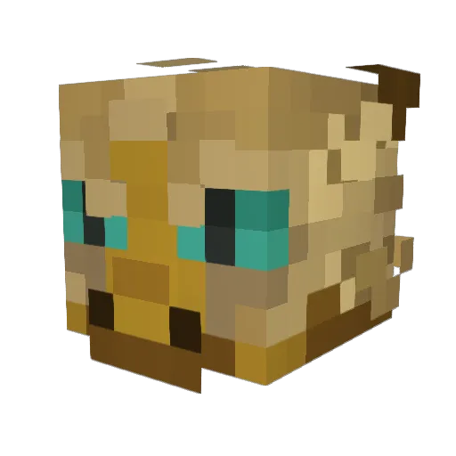 Voidwing1 Minecraft avatar head, 3D render