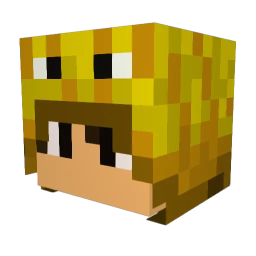 Voile4 Minecraft avatar head, 3D render