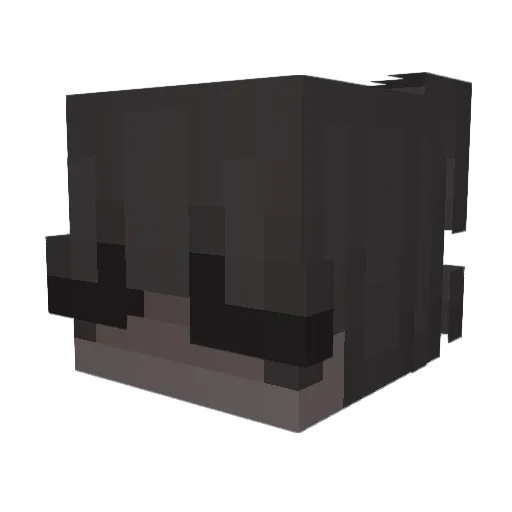 Voilyn Minecraft avatar head, 3D render