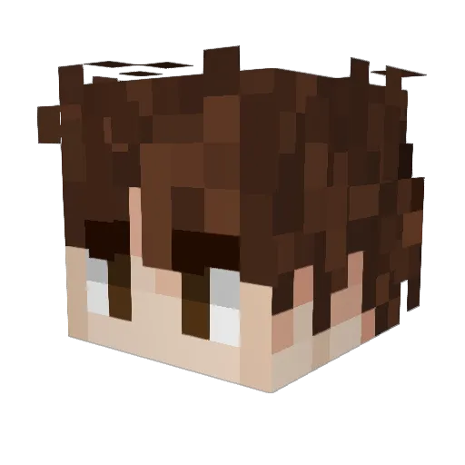 Voitah Minecraft avatar head, 3D render
