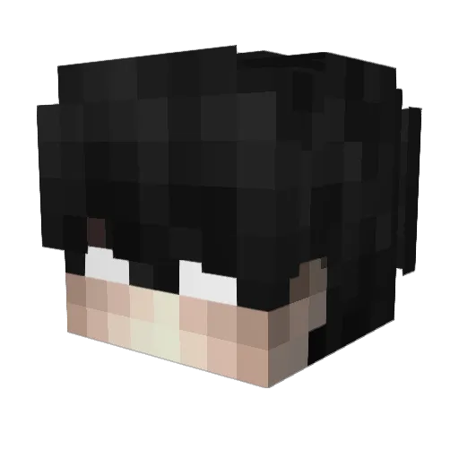 Vojtahen_ Minecraft avatar head, 3D render