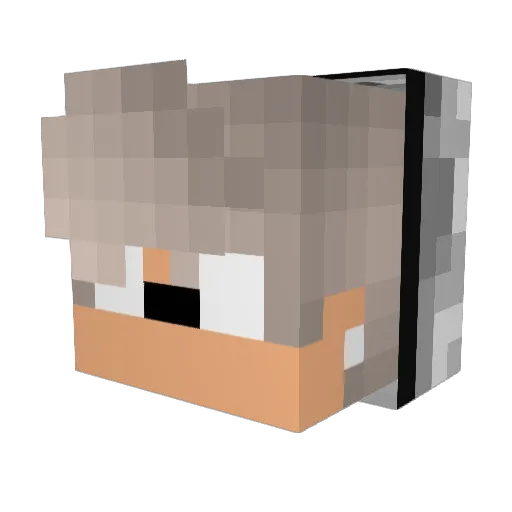 Vojtiisek Minecraft avatar head, 3D render