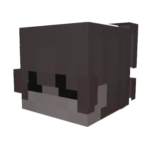 VolQ_ Minecraft avatar head, 3D render