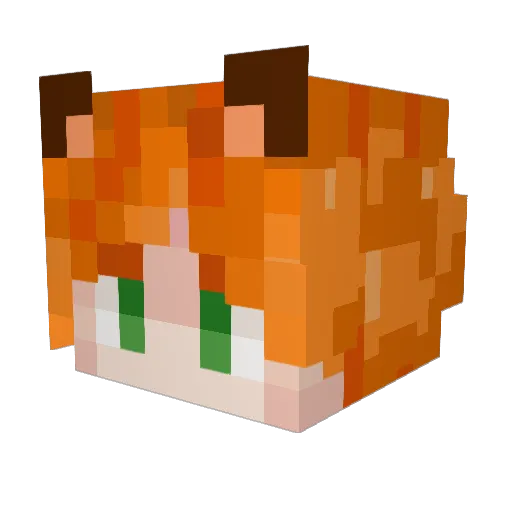 Voladorgod Minecraft avatar head, 3D render