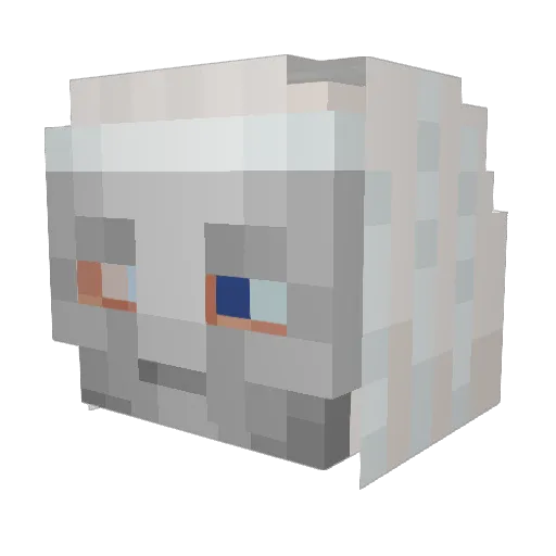 VolantMink304 Minecraft avatar head, 3D render