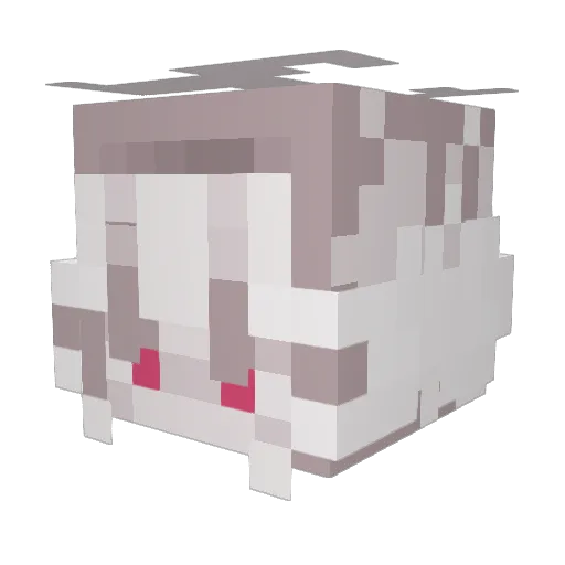 Volcanogirl921 Minecraft avatar head, 3D render