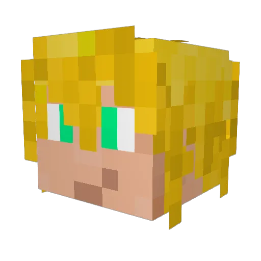 Volegy Minecraft avatar head, 3D render