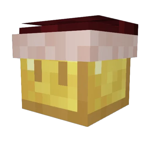 Volery00 Minecraft avatar head, 3D render