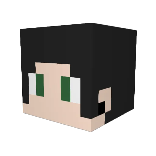 Volgorn Minecraft avatar head, 3D render