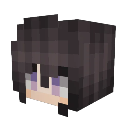 VolibaeLightning Minecraft avatar head, 3D render