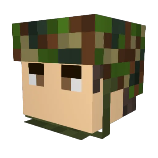 Volle_Flasche Minecraft avatar head, 3D render