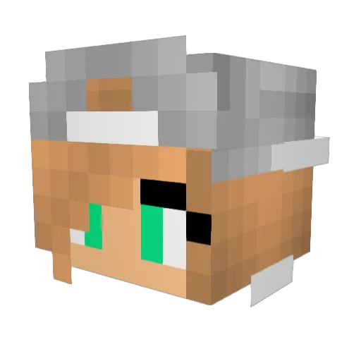 Volleyballgurl16 Minecraft avatar head, 3D render