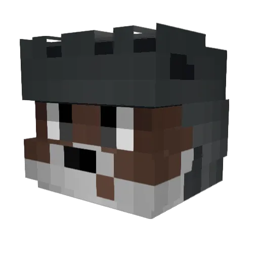Volleyeur Minecraft avatar head, 3D render