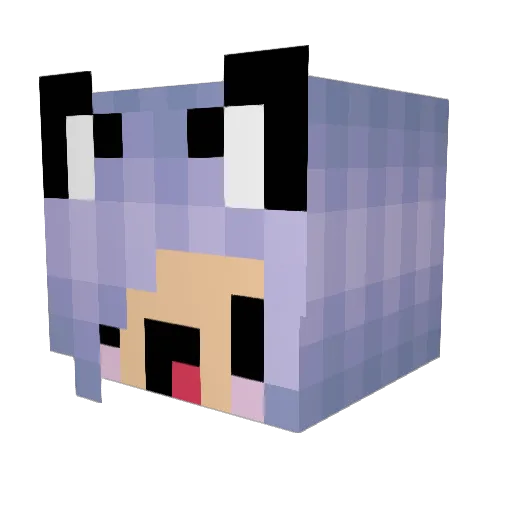 VolliKorn Minecraft avatar head, 3D render