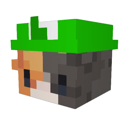 Vologang Minecraft avatar head, 3D render