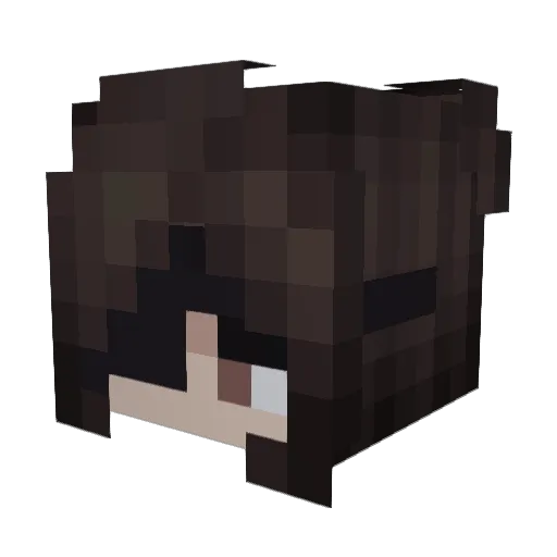 VoltaSlayer Minecraft avatar head, 3D render