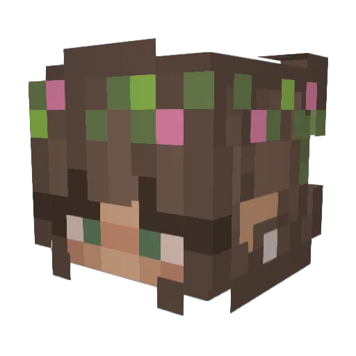 VolticLynx1496 Minecraft avatar head, 3D render