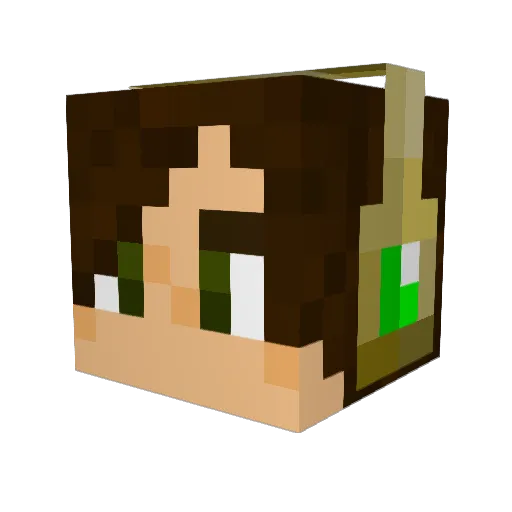 Voltus_ Minecraft avatar head, 3D render