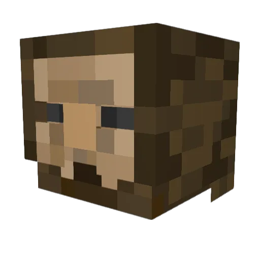 Voluntad Minecraft avatar head, 3D render