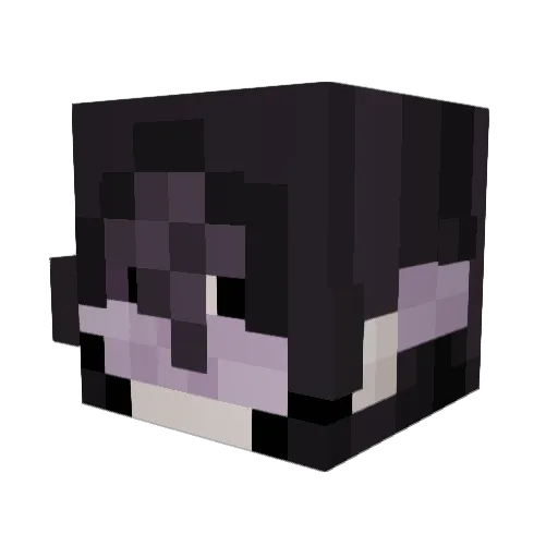 Vompyre Minecraft avatar head, 3D render