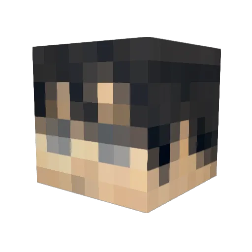 VonCanner Minecraft avatar head, 3D render