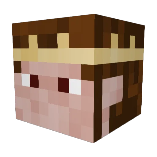 VonFennec Minecraft avatar head, 3D render